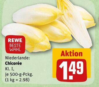 REWE Rewe beste wahl chicorée Angebot