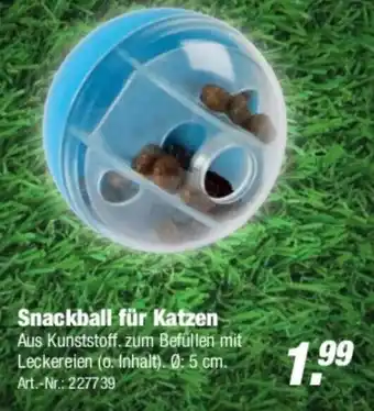 Rofu Kinderland Snackball  für Katzen Angebot