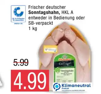 Marktkauf Frischer deutscher Sonntagshahn, HKL A 1 kg Angebot