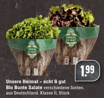 Edeka Neukauf Unsere Heimat echt & gut Bio Bunte Salate Angebot
