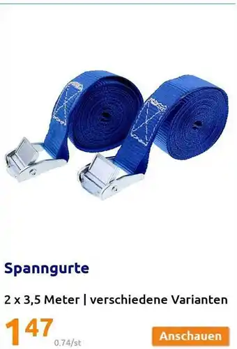 Action Spanngurte Angebot