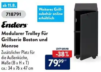 Aldi Süd Enders Modularer Trolley für Grillserie Boston und Monroe Angebot