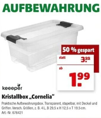 Hagebau Keeeper Kristallbox ,,Cornelia" Angebot