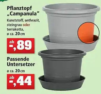 Thomas Philipps Pflanztopff „campanula” Angebot