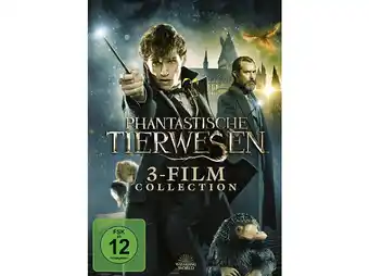 Saturn Wbhe phantastische tierwesen 3-film collection dvd Angebot