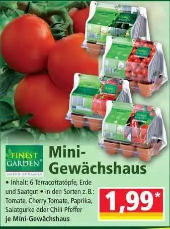 Norma Mini Gewächshaus Angebot