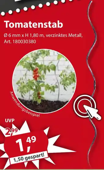 Sonderpreis Baumarkt Tomatenstab Angebot