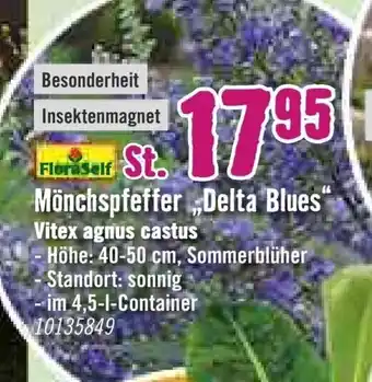 Hornbach Mönchspfeffer ,,Delta Blues" Angebot