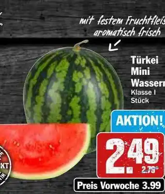 Hit Türkei mini wassermelone Angebot