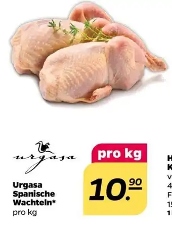 NETTO Urgasa Frische Spanische Wachteln 1kg Angebot