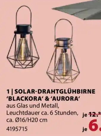 Dehner Solar Drahtglühbirne 'Blackora & Aurora' Angebot