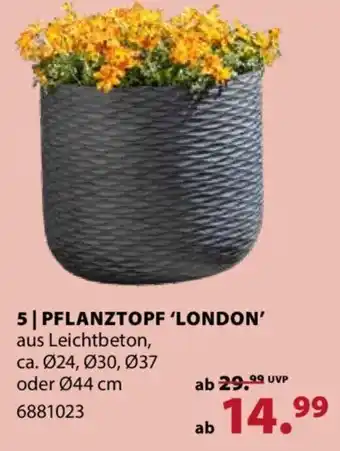 Dehner Pflanztopf 'London' Angebot