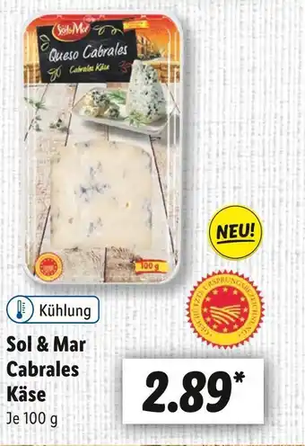 Lidl Sol & mar cabrales käse Angebot