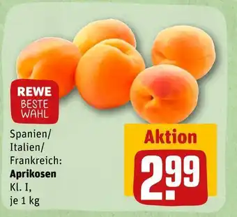 REWE Rewe beste wahl aprikosen Angebot