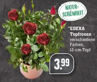 Edeka Edeka Topfrosen Angebot