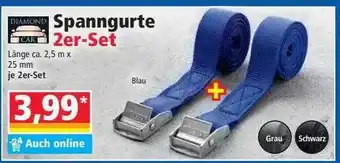 Norma Spanngurte 2er-set Angebot