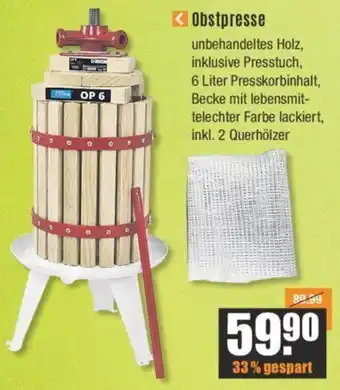 V Baumarkt Obstpresse Angebot