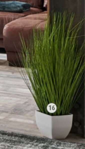 ROLLER Kunstpflanze Angebot