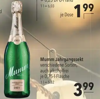 CITTI Markt Mumm Jahrgangssekt 0,75L Angebot