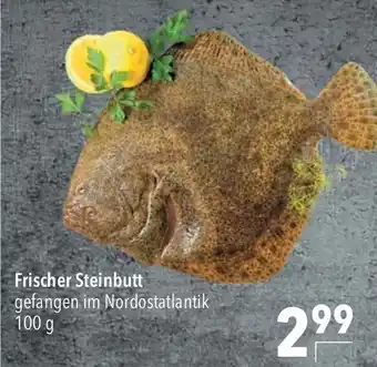 CITTI Markt Frischer Steinbutt 100g Angebot