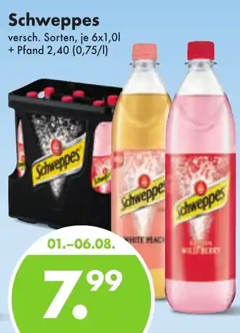 Trink und Spare Schweppes 6x1,0 L Angebot