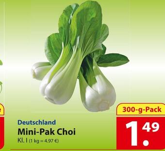 Famila Nord Ost Mini-pak choi Angebot
