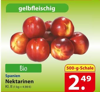 Famila Nord Ost Nektarinen Angebot