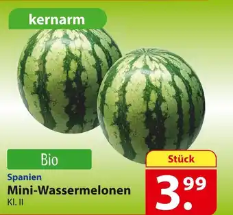 Famila Nord Ost Mini-wassermelonen Angebot