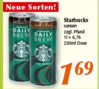 inkoop Starbucks Daily Brew 250ml Angebot