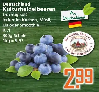 Klaas und Kock Deutschland Kulturheidelbeeren 300 g Schale Angebot