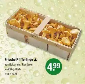 V Markt Frische pfifferlinge Angebot