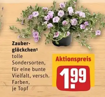 REWE Zauberglöckchen Angebot