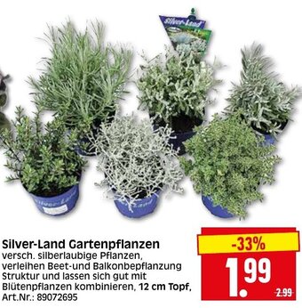 Herkules Baumarkt Silver Land Gartenpflanzen Angebot