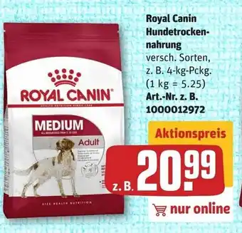 REWE Royal Canin Hundetrockennahrung 4kg Angebot