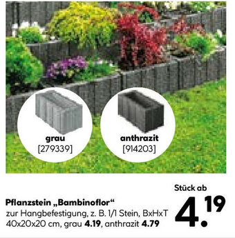 Hellweg Pflanzstein ,,Bambinoflor" Angebot