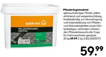 Hellweg Pflasterfugenmörtel 25 kg Angebot