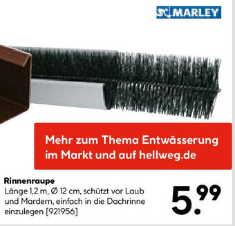 Hellweg Marley Rinnenraupe Angebot