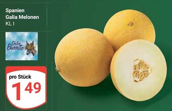 Globus Galia Melonen Angebot