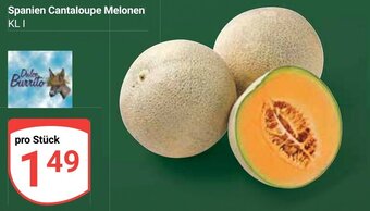 Globus Cantaloupe Melonen Angebot