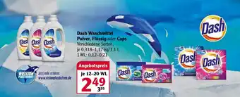 Globus Dash Waschmittel Pulver, Flüssig oder Caps Angebot