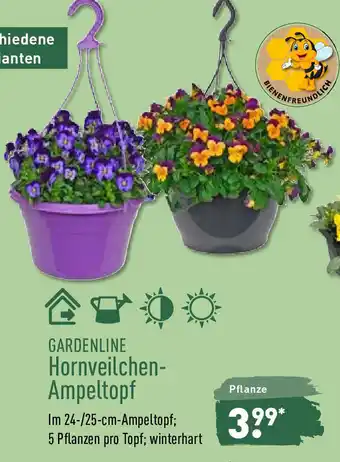 Aldi Nord Gardenline Hornveilchen Ampeltopf Angebot