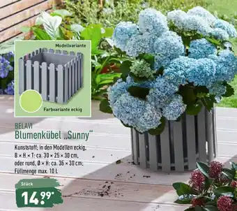 Aldi Nord Belavi Blumenkübel Sunny" Angebot