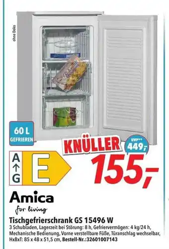 dodenhof Amica tischgefrierschrank gs 18496w Angebot