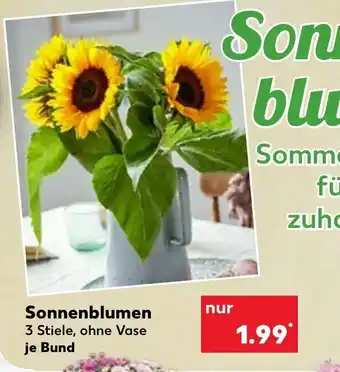 Kaufland Sonnenblumen Angebot