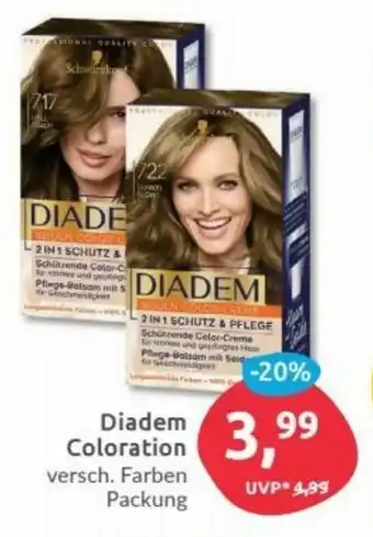 Budni Diadem Coloration Angebot