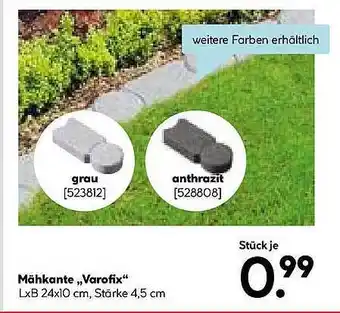 Hellweg Mähkante „varofix” Angebot