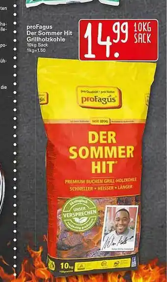 WEZ Profagus Der Sommer Hit Grillholzkohle 10kg Angebot