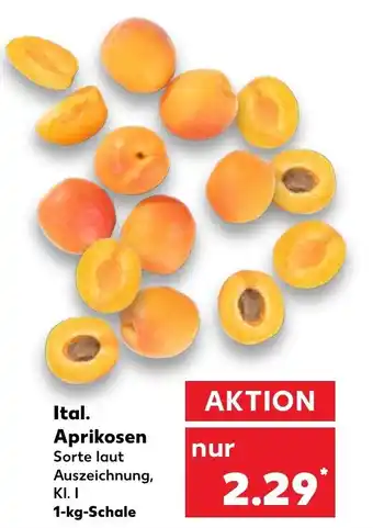 Kaufland Aprikosen 1kg Angebot