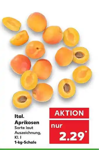 Kaufland Aprikosen Angebot