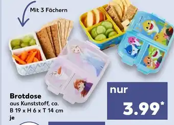 Kaufland Brotdose Angebot